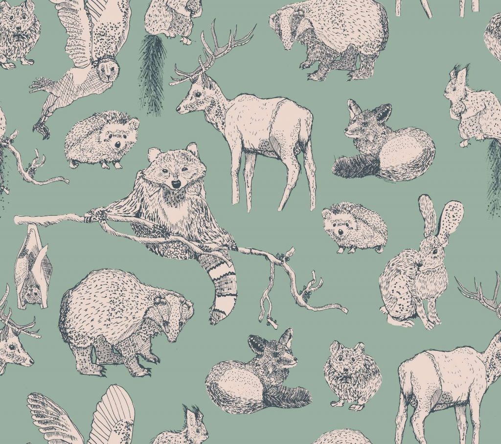 Przyjaciele Lasu Mięta