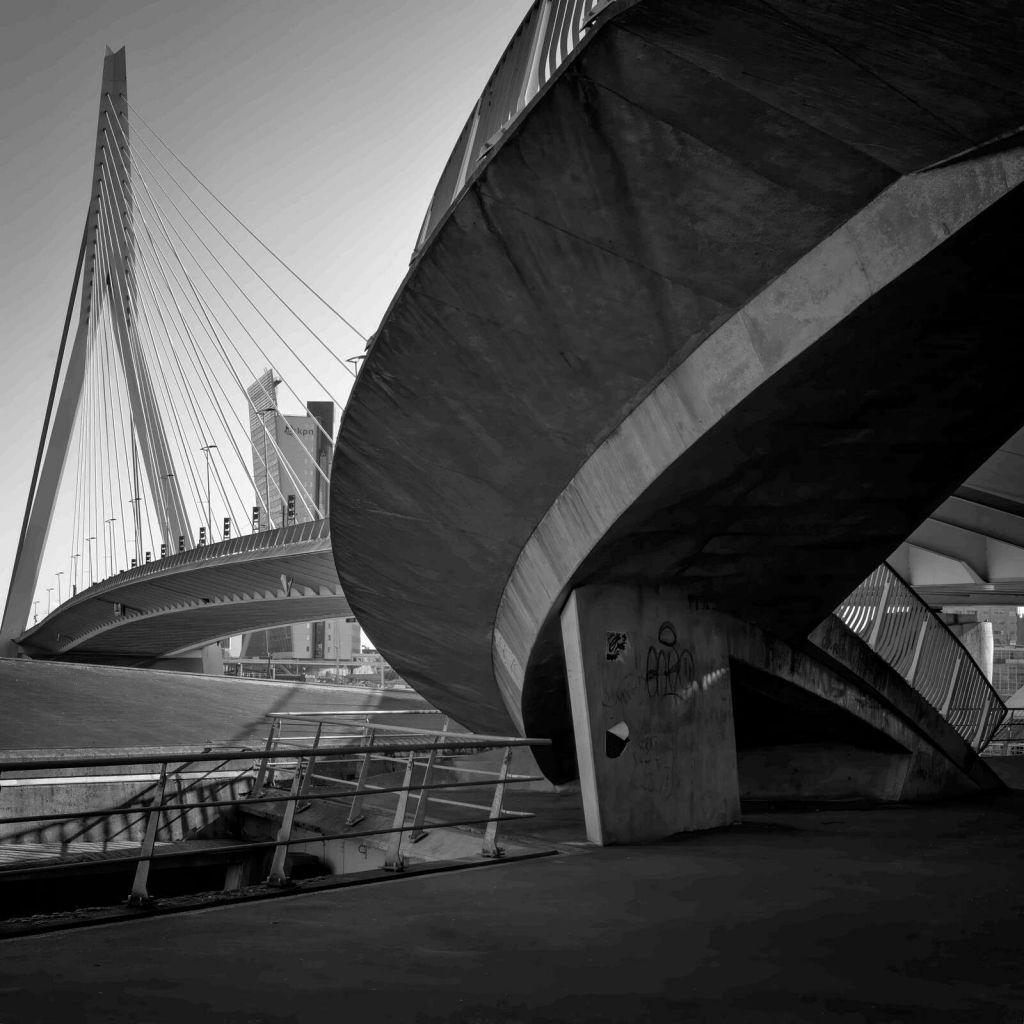 Erasmusbrug i Architektura Miejska