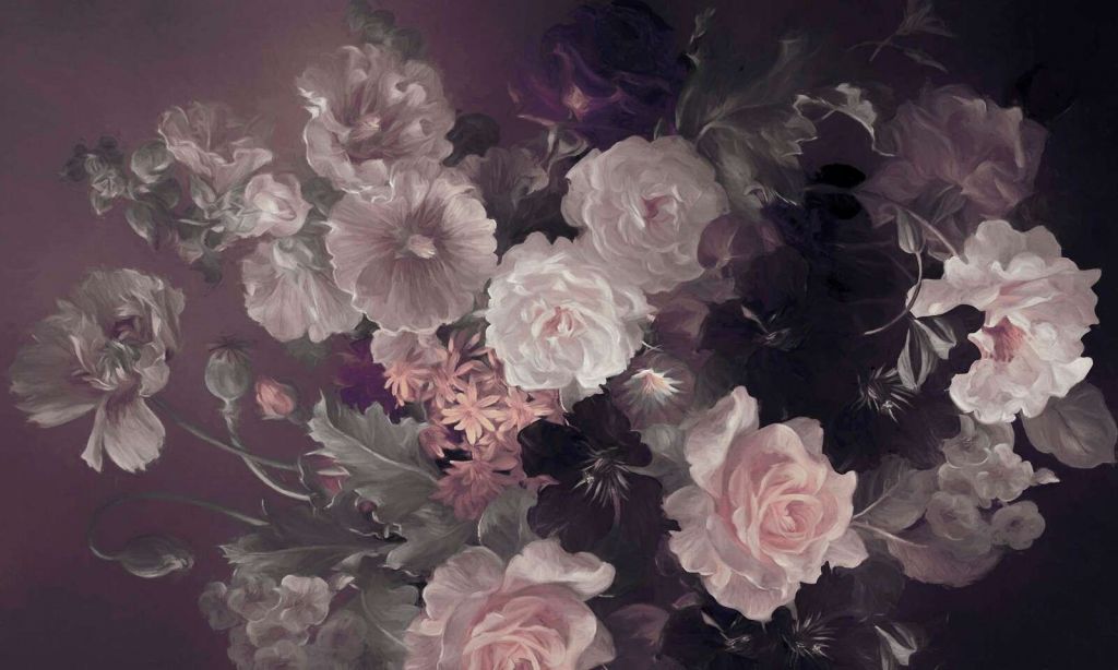 Clematis Ciemnoróżowy