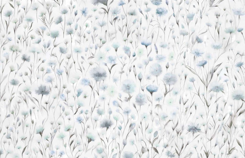 Chabry i trawy polne Niebieskie