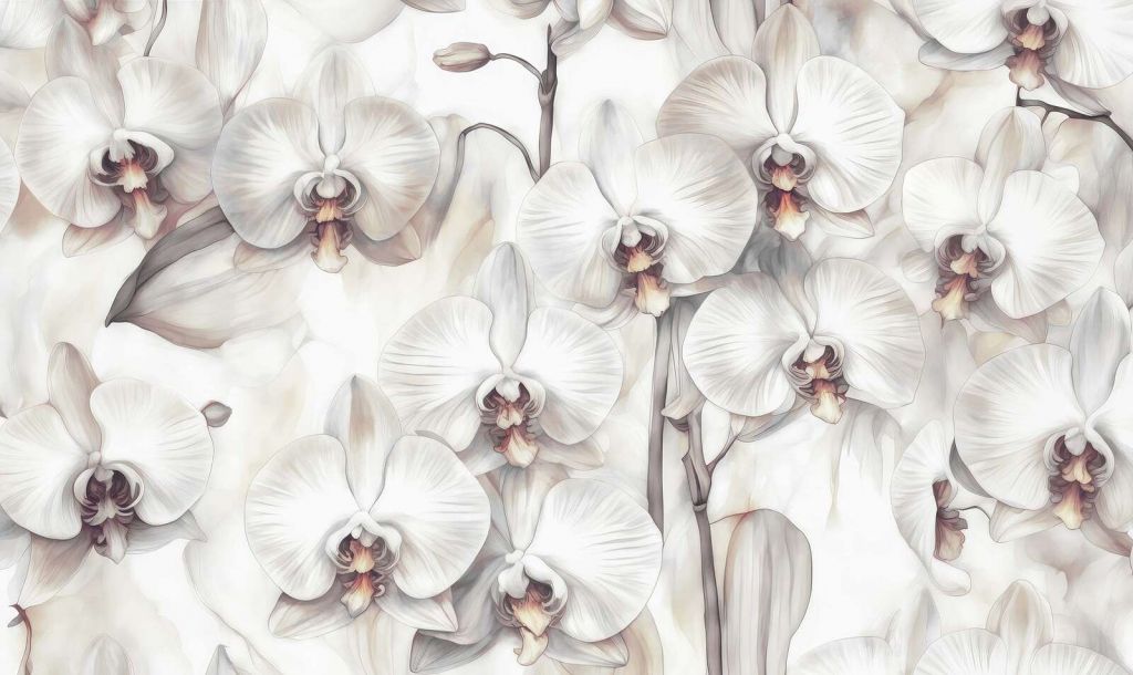 Raj Orchidei Pomarańczowy