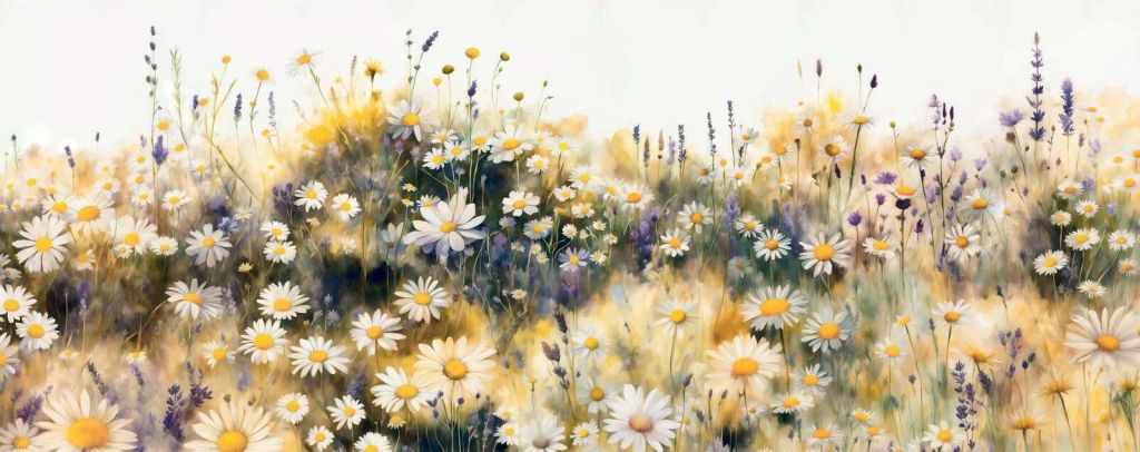 Cicha Łąka Żółtych Stokrotek
