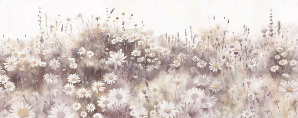 Cicha Łąka Różowych Stokrotek