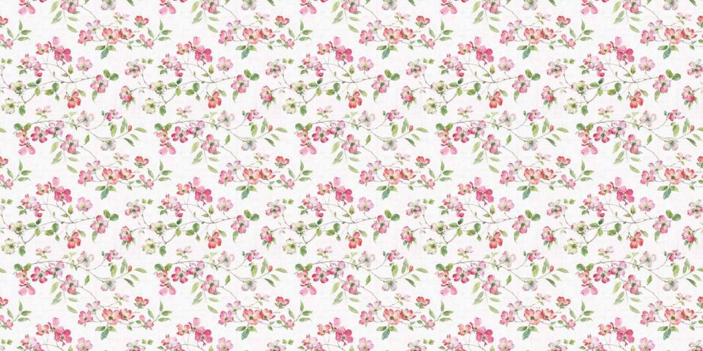 Ogród Dereń Krok 01