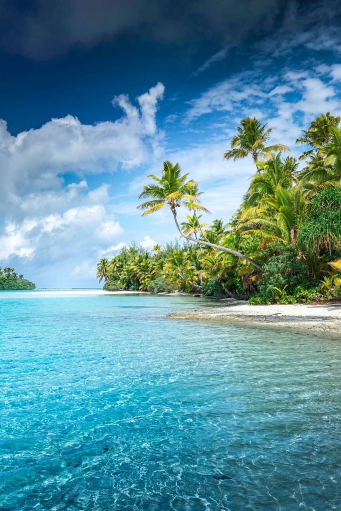 Jasna tropikalna plaża z palmami