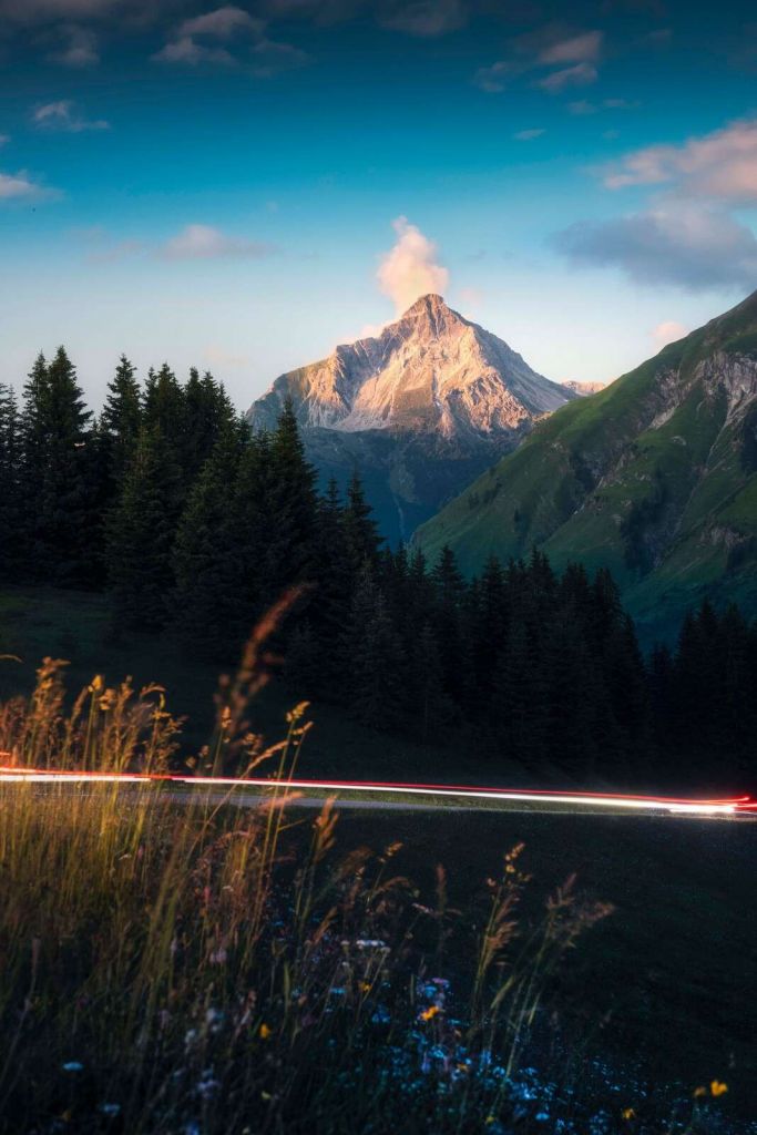 Światło wieczorne na szczycie alpejskim z polem kwiatowym