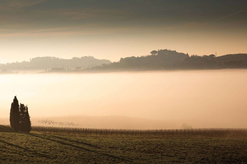 Wzgórza we włoskim porannym mglistym świetle.