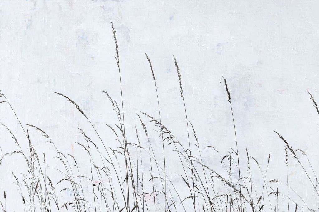 Delikatnie kołysząca się trawa polna w białym świetle