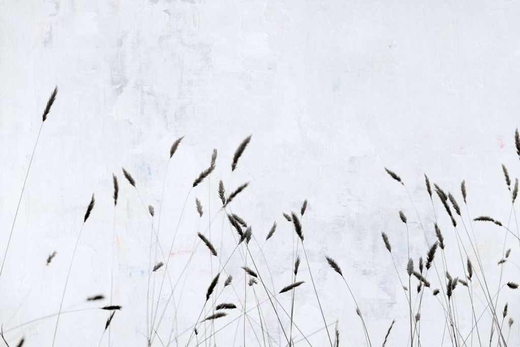 Minimalistyczna trawa polna w ciszy