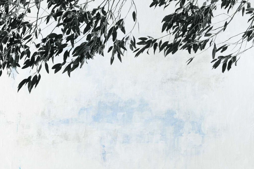 Ciemne gałęzie na tle jasnego nieba