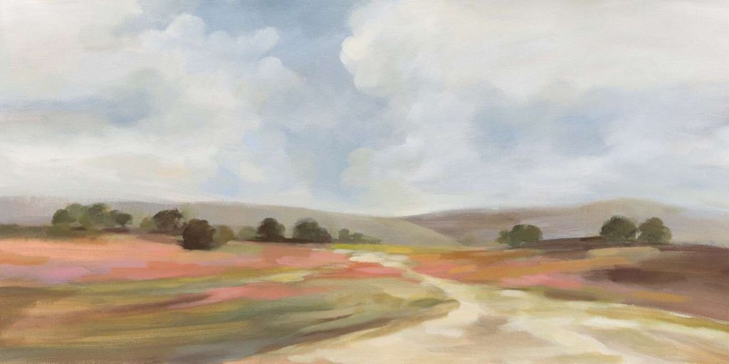 Letnie wrzosowisko pod chmurami