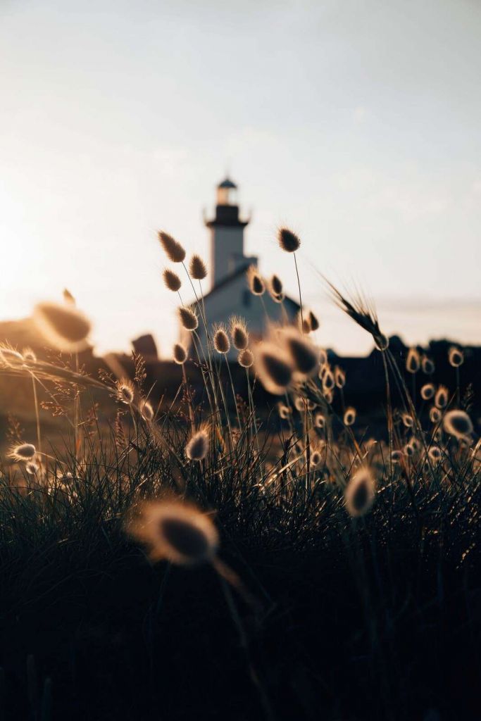 Latarnia w letniej wieczornej poświacie