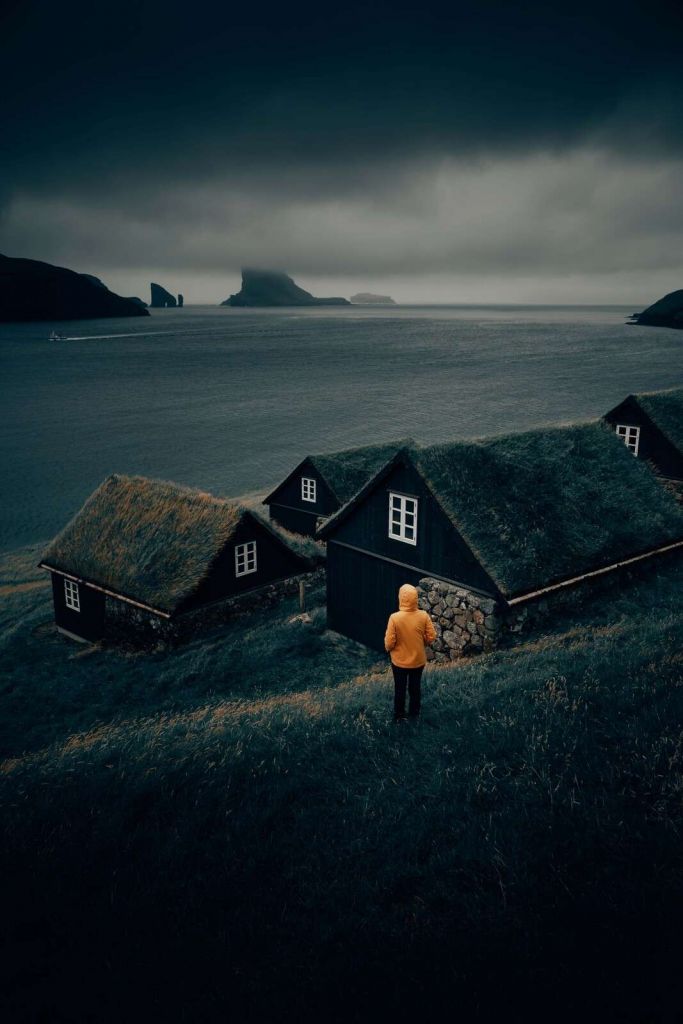 Dachy z trawy nad północnym fiordem