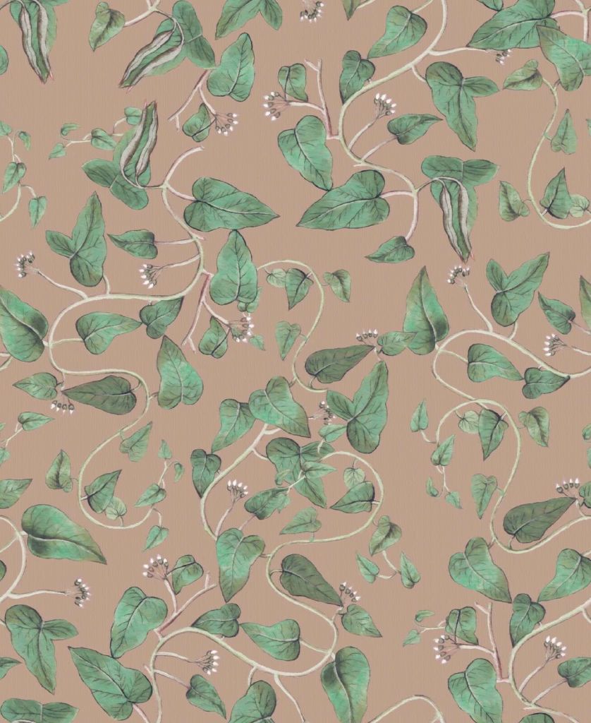 Pnące się pnącza fasoli na piaskowobrązowym tle.