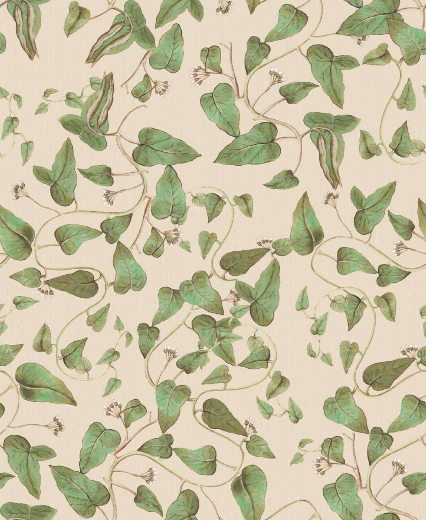 Wspinające się pnącza fasoli na kremie