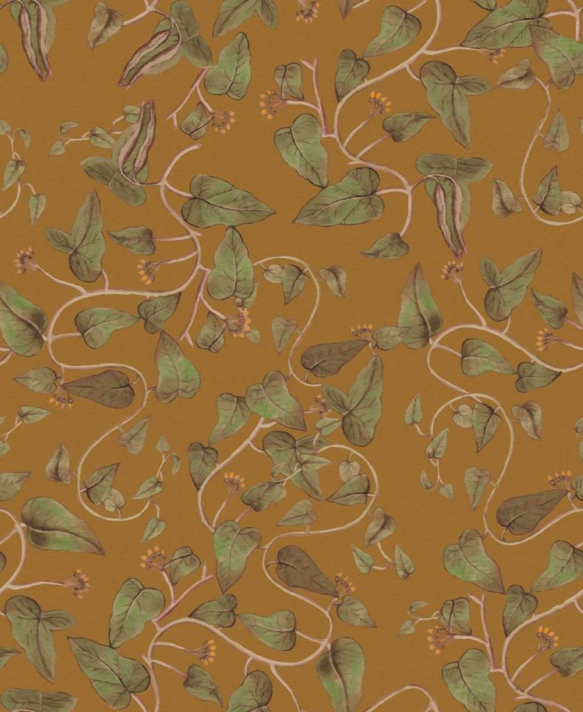 Pnące się pędy fasoli na ochrowożółtym.