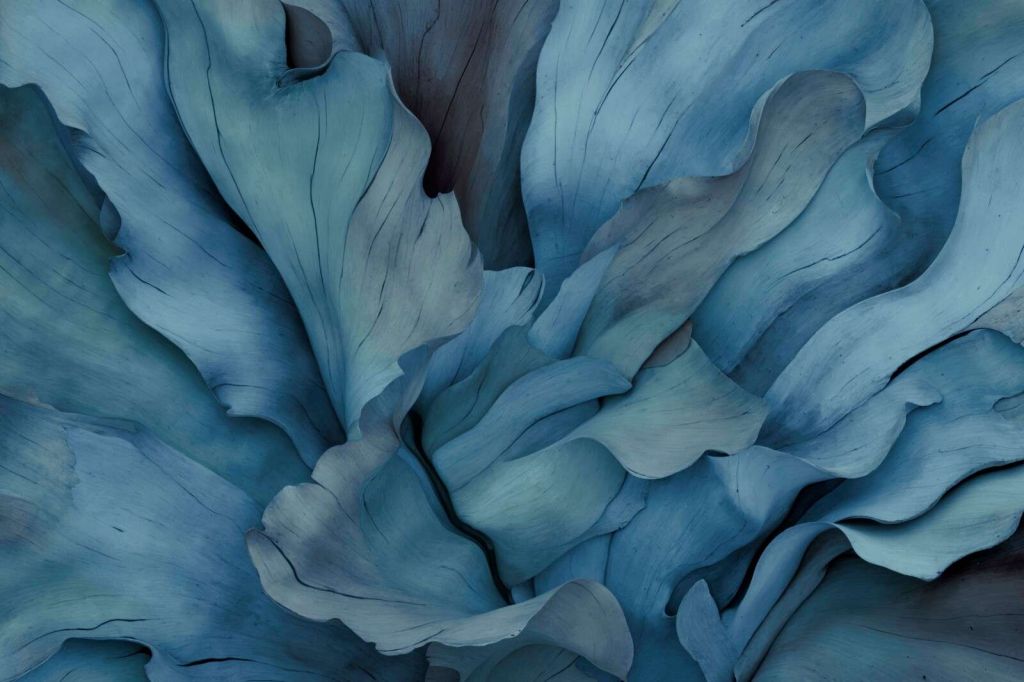 Oceaniczne kwiatowe szepty organicznych form