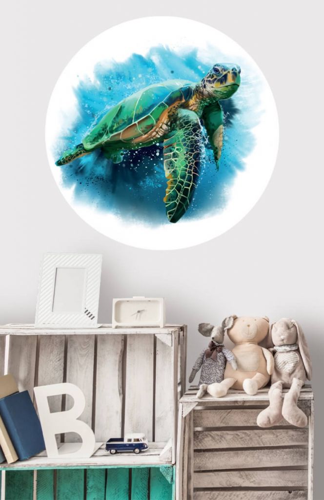 Tapety koło żółwia morskiego żółw morski 