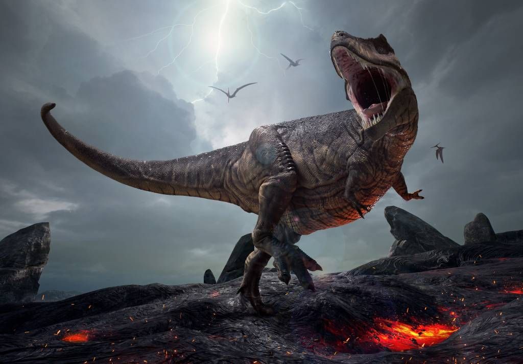 Dinosaurs - Tyrannosaurus Rex - Kinderkamer