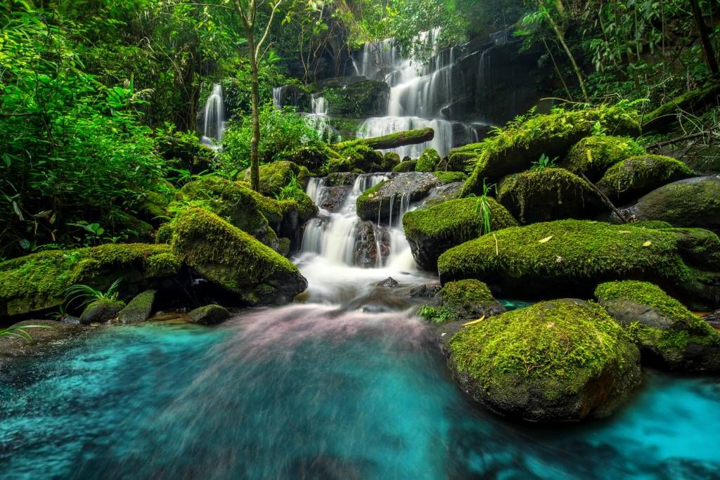 Waterfalls - Waterval in een jungle - Hobbykamer