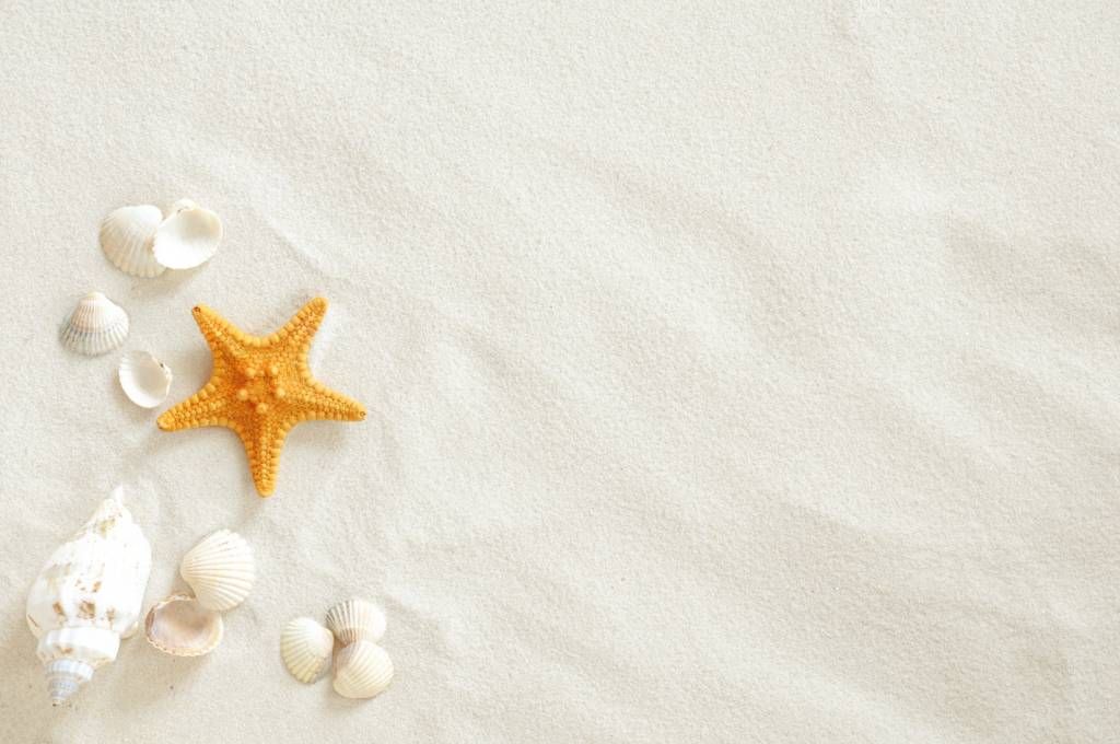 Beach Wallpaper - Zeester op wit zand - Slaapkamer