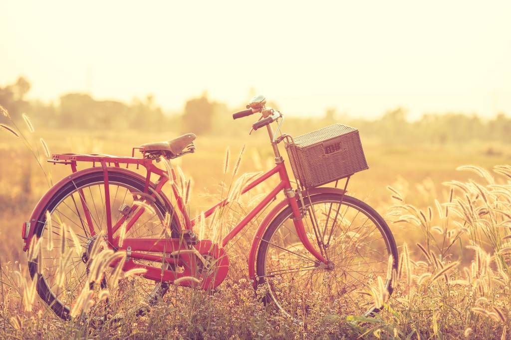 Landscape Wallpaper - Vintage fiets - Slaapkamer