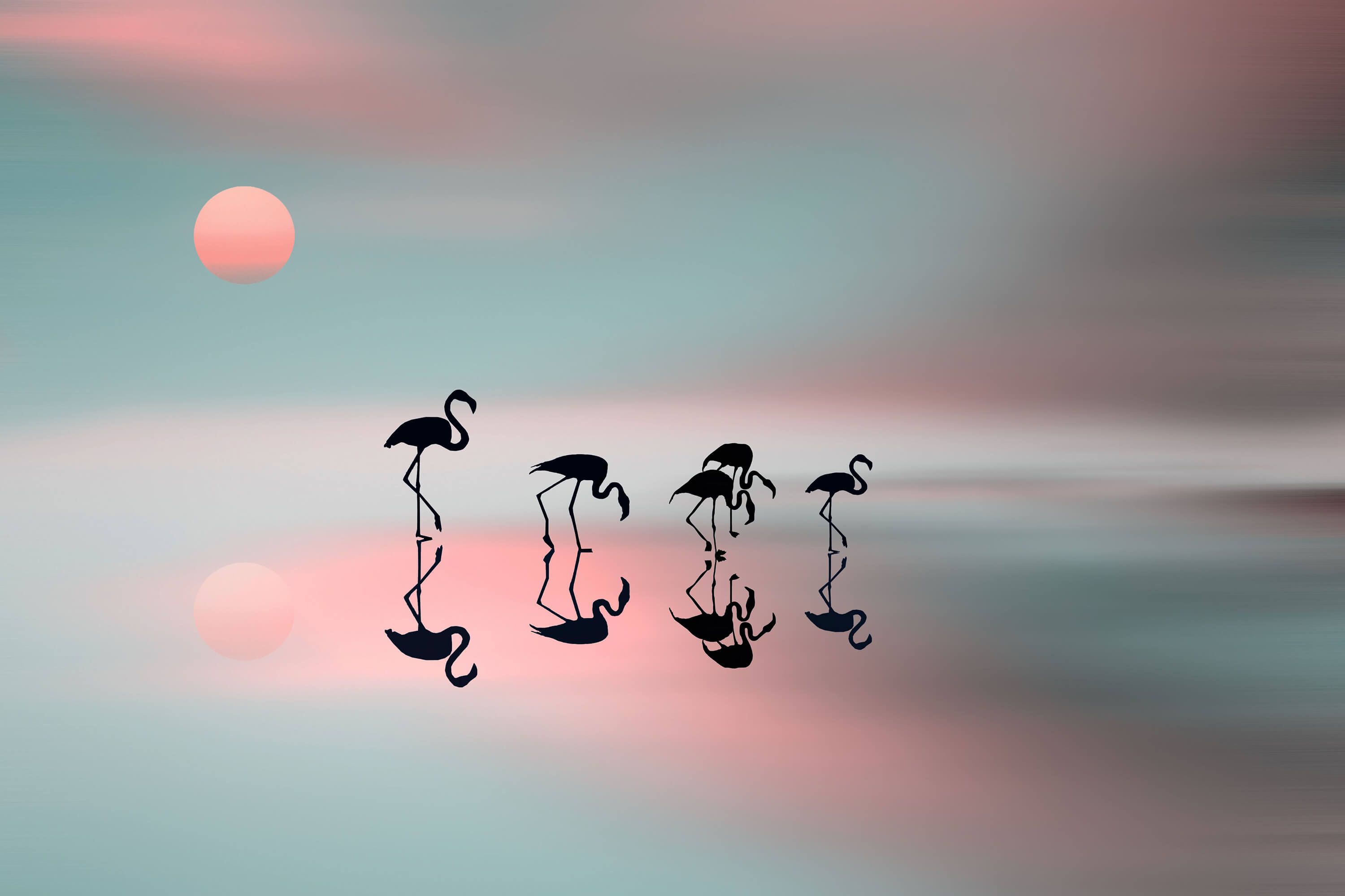 Effecten Family flamingos