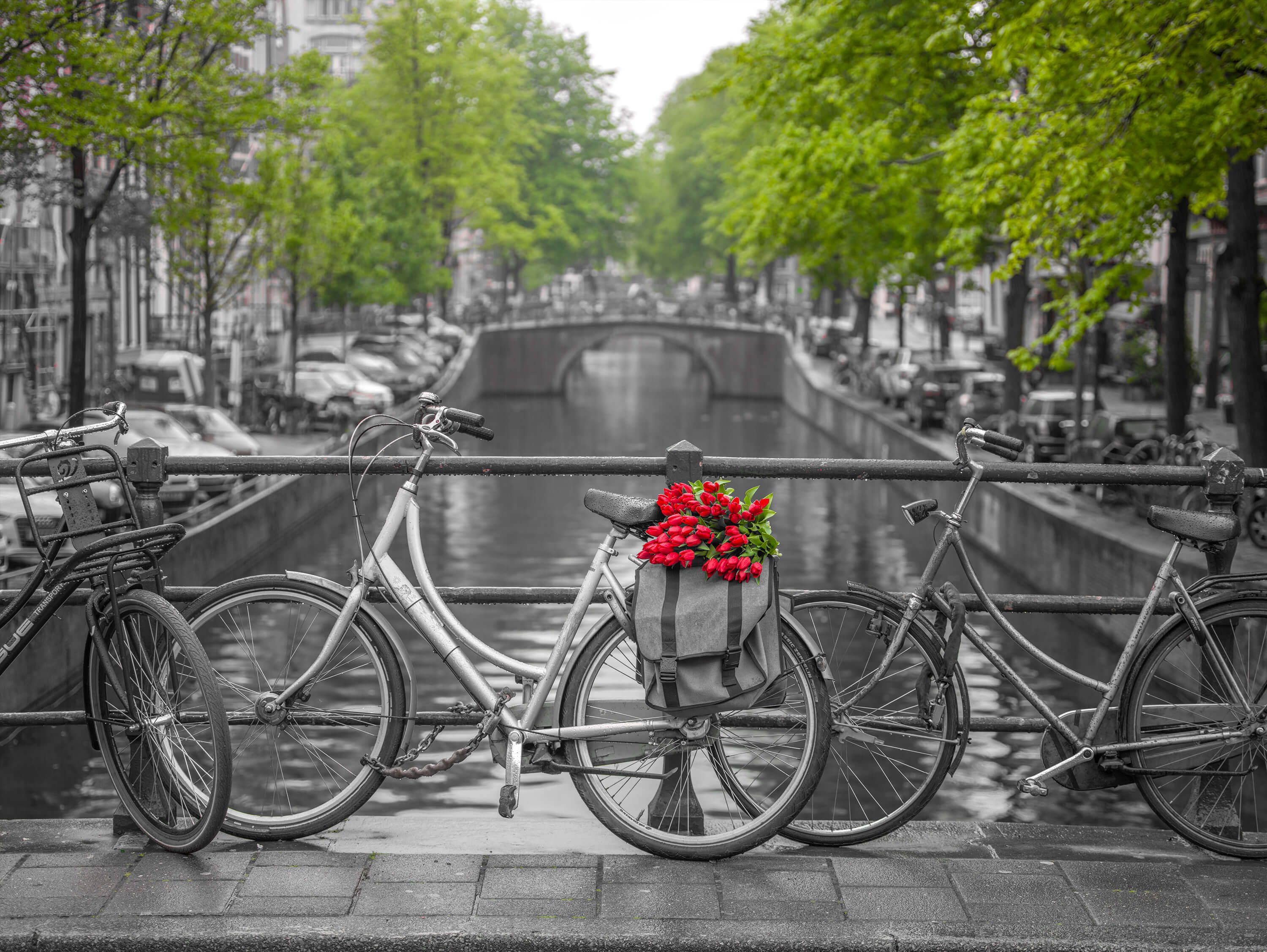  Rower z kwiatami