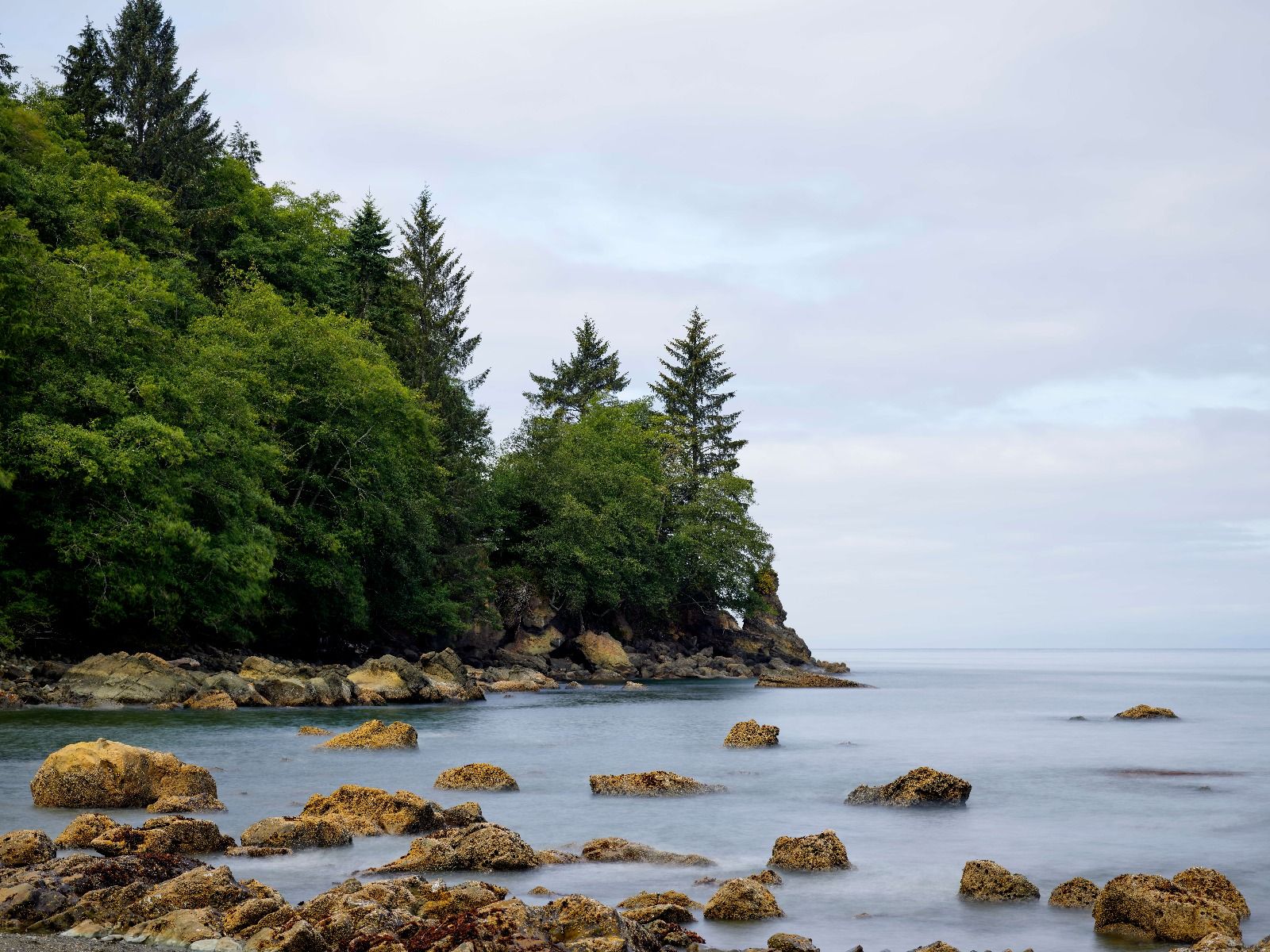 Nieuporządkowana linia brzegowa