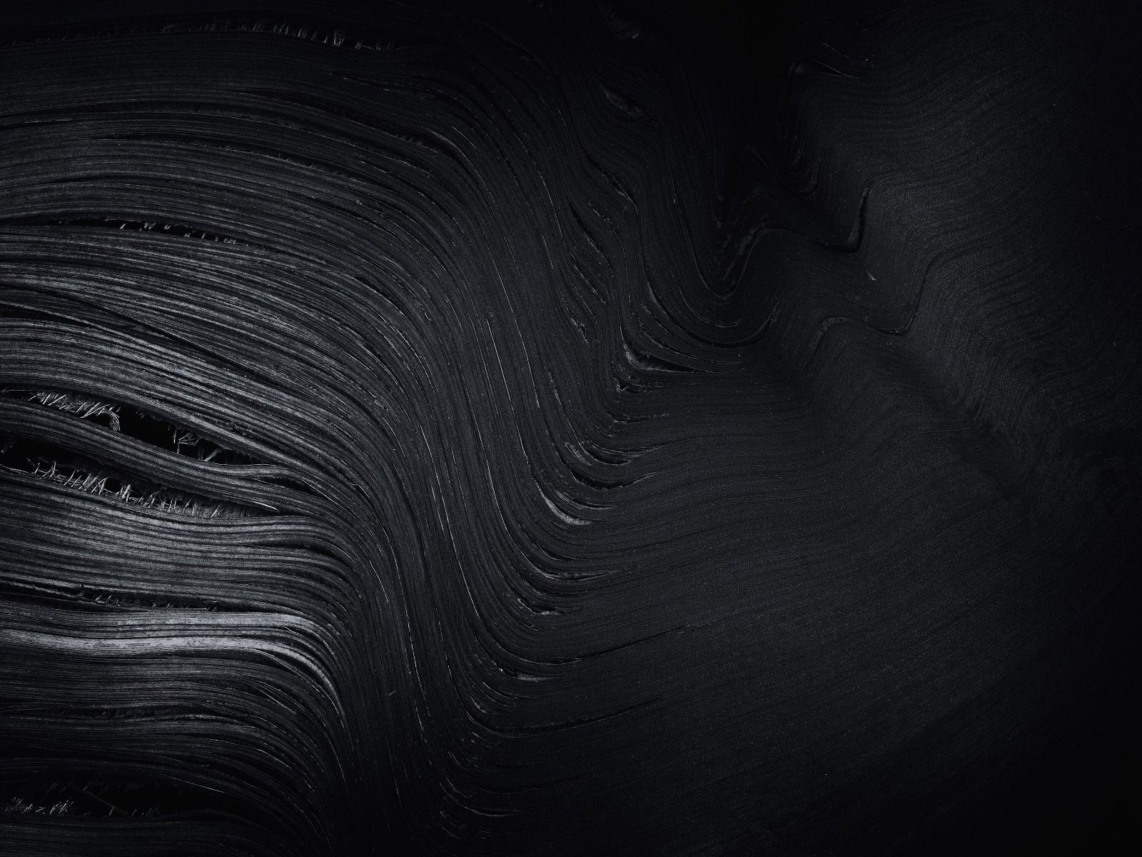 Stary liść palmowy w kolorze czarno-białym