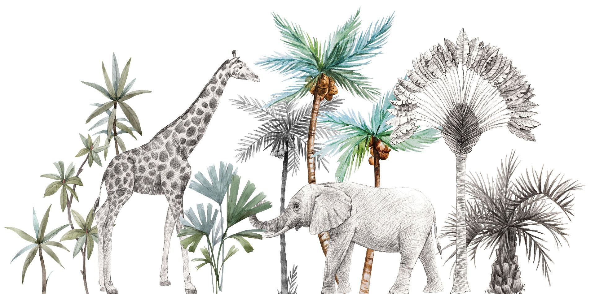 Szkic dzikich zwierząt