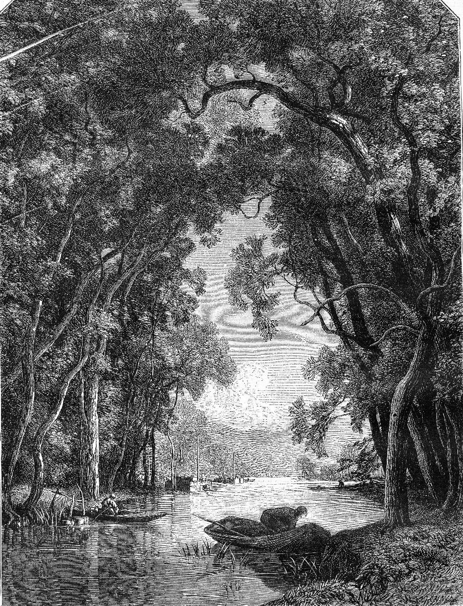 Stara rzeka w dżungli