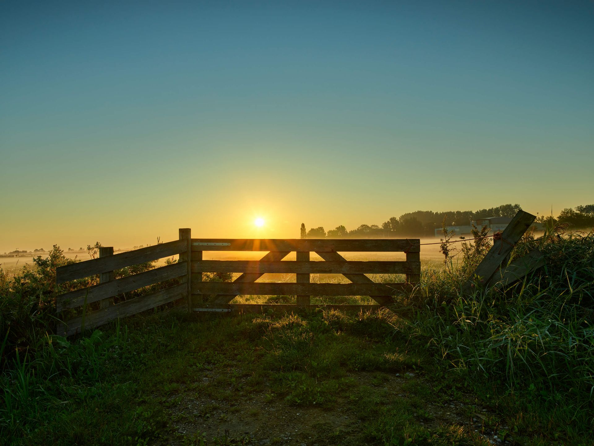 Ogrodzenie o wschodzie słońca