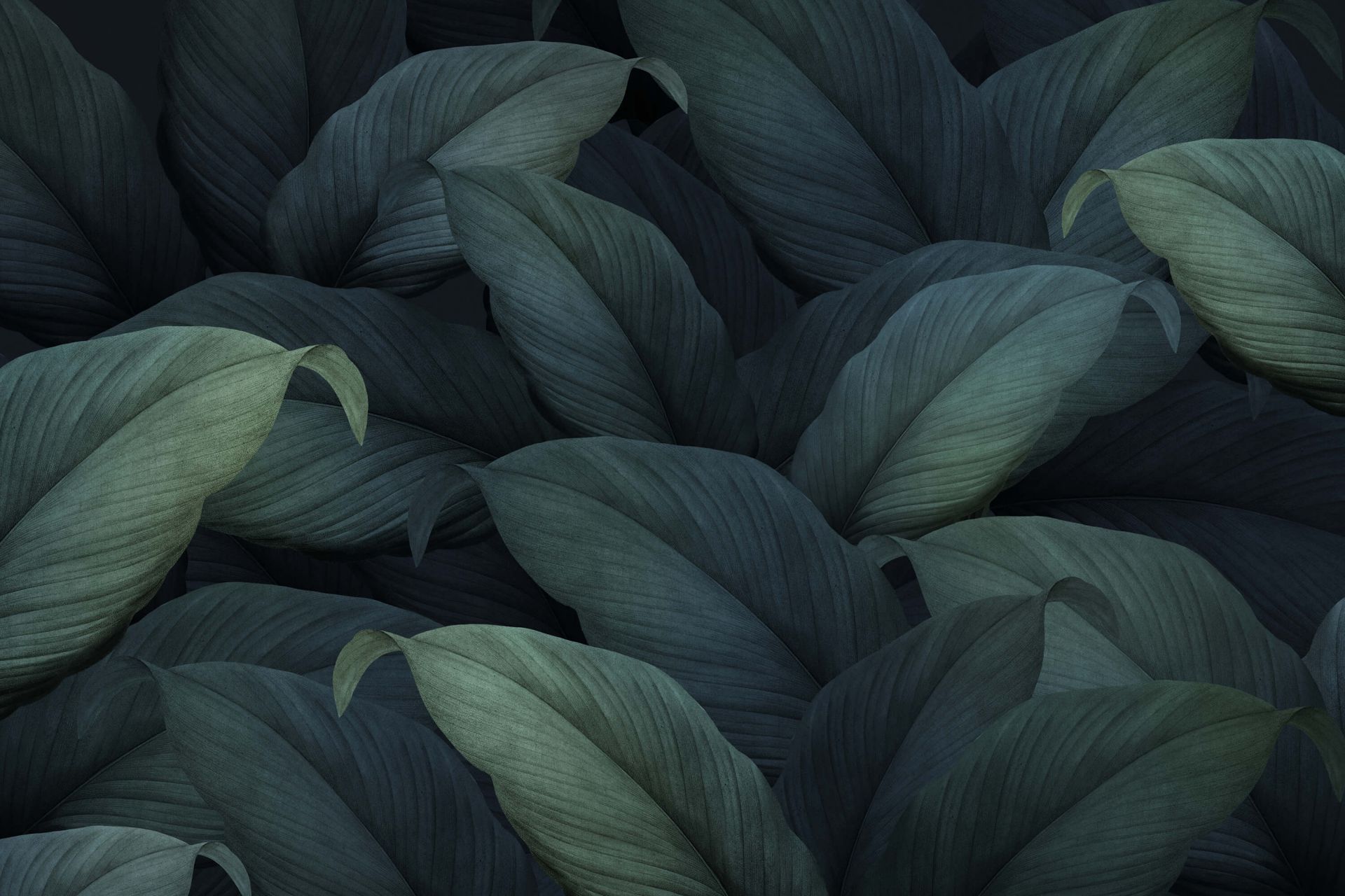 Tropikalne zielone liście