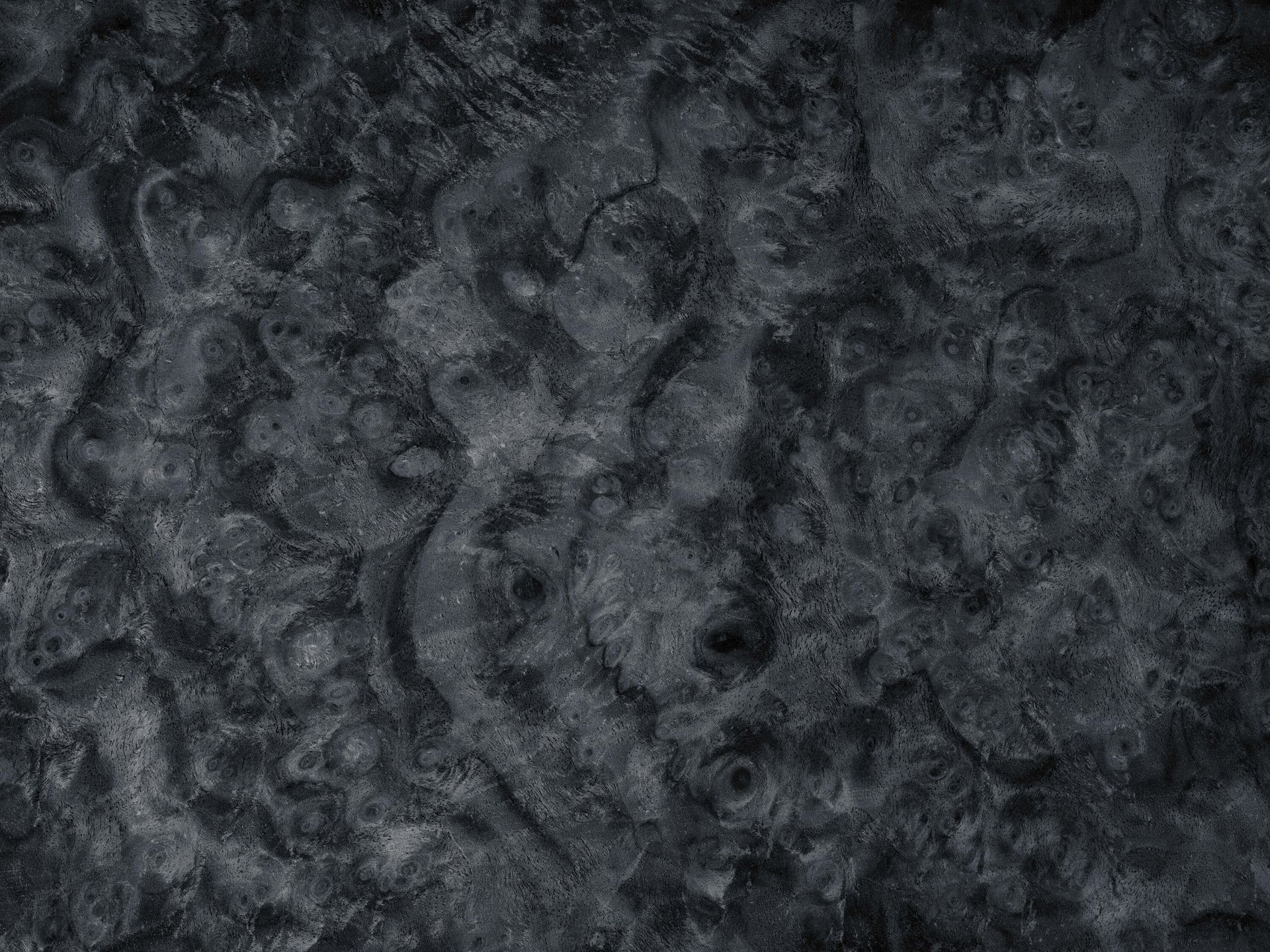 Złożona struktura drewna szarego