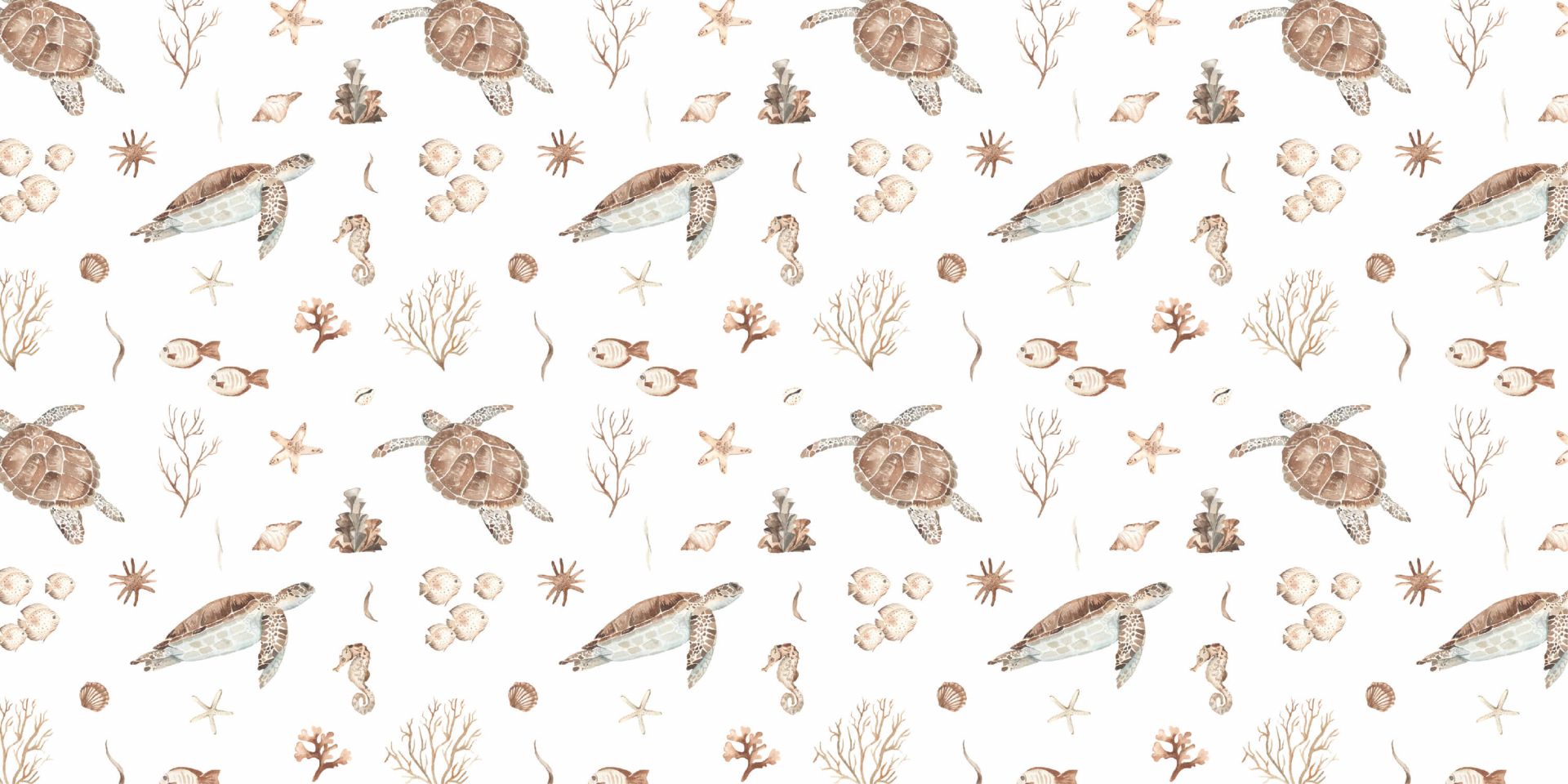 Muszle i morskie stworzenia