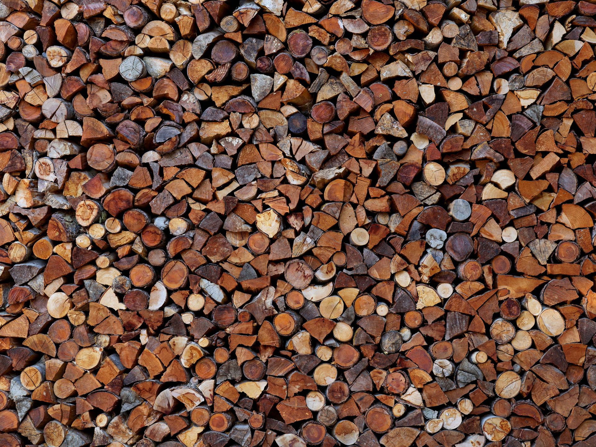 Drewno ułożone w stosy