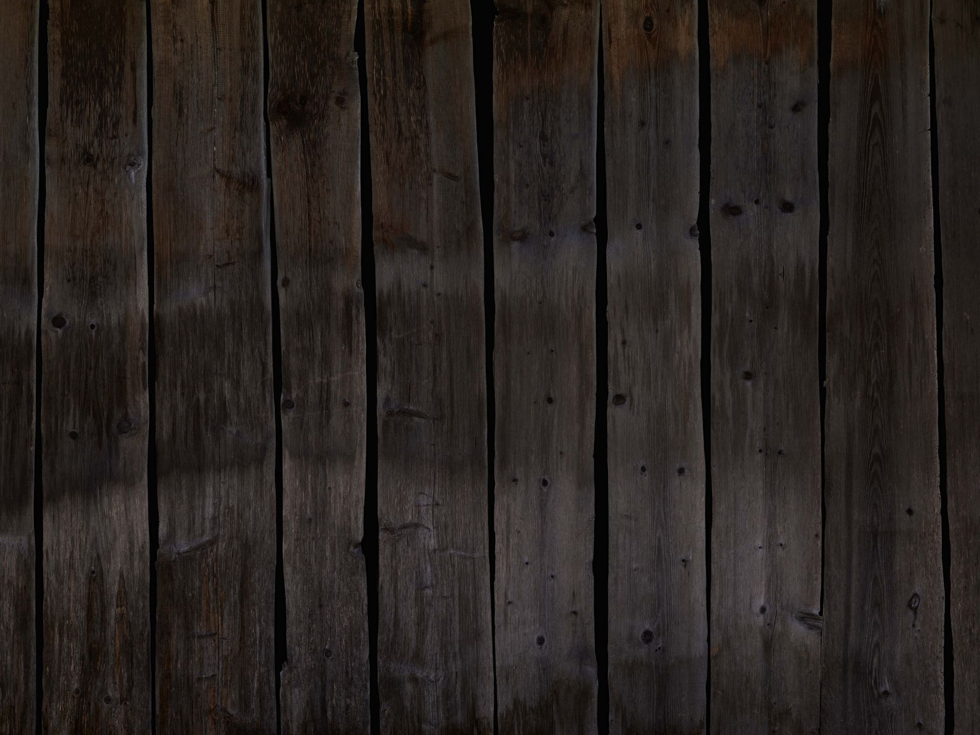 Światło pada na ciemne drewno