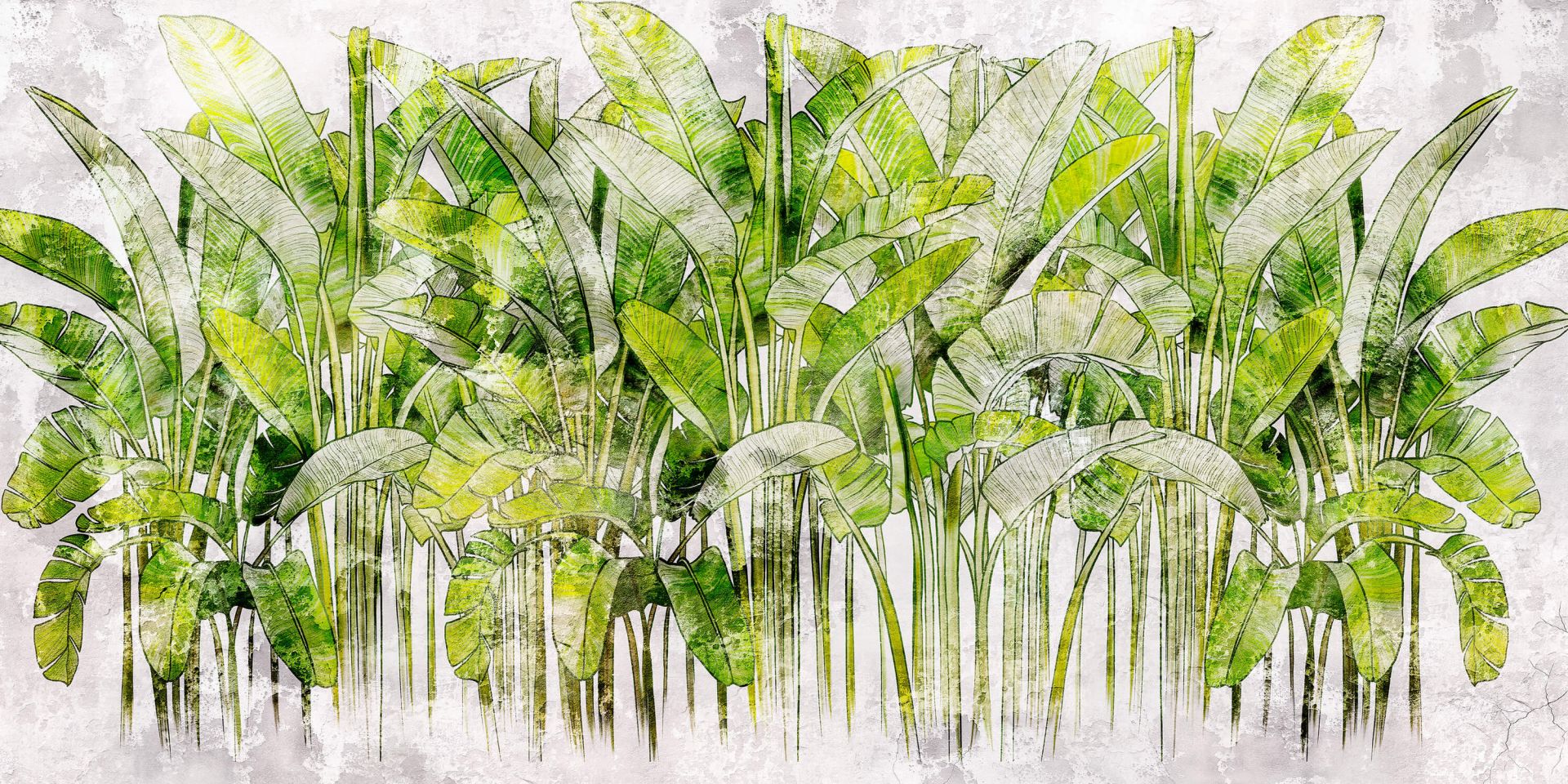 Duże rysowane liście palmy