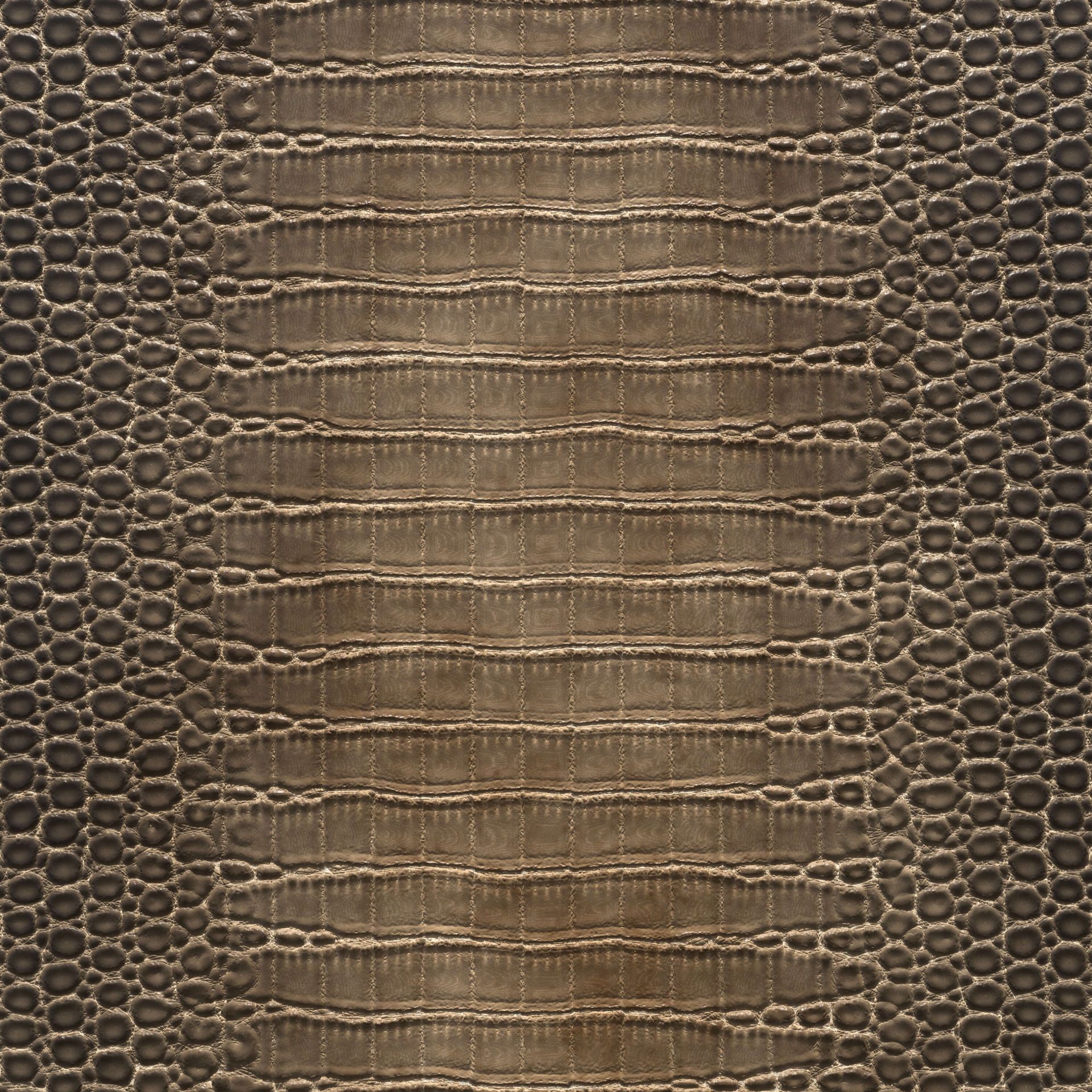 Brązowa skóra krokodyla