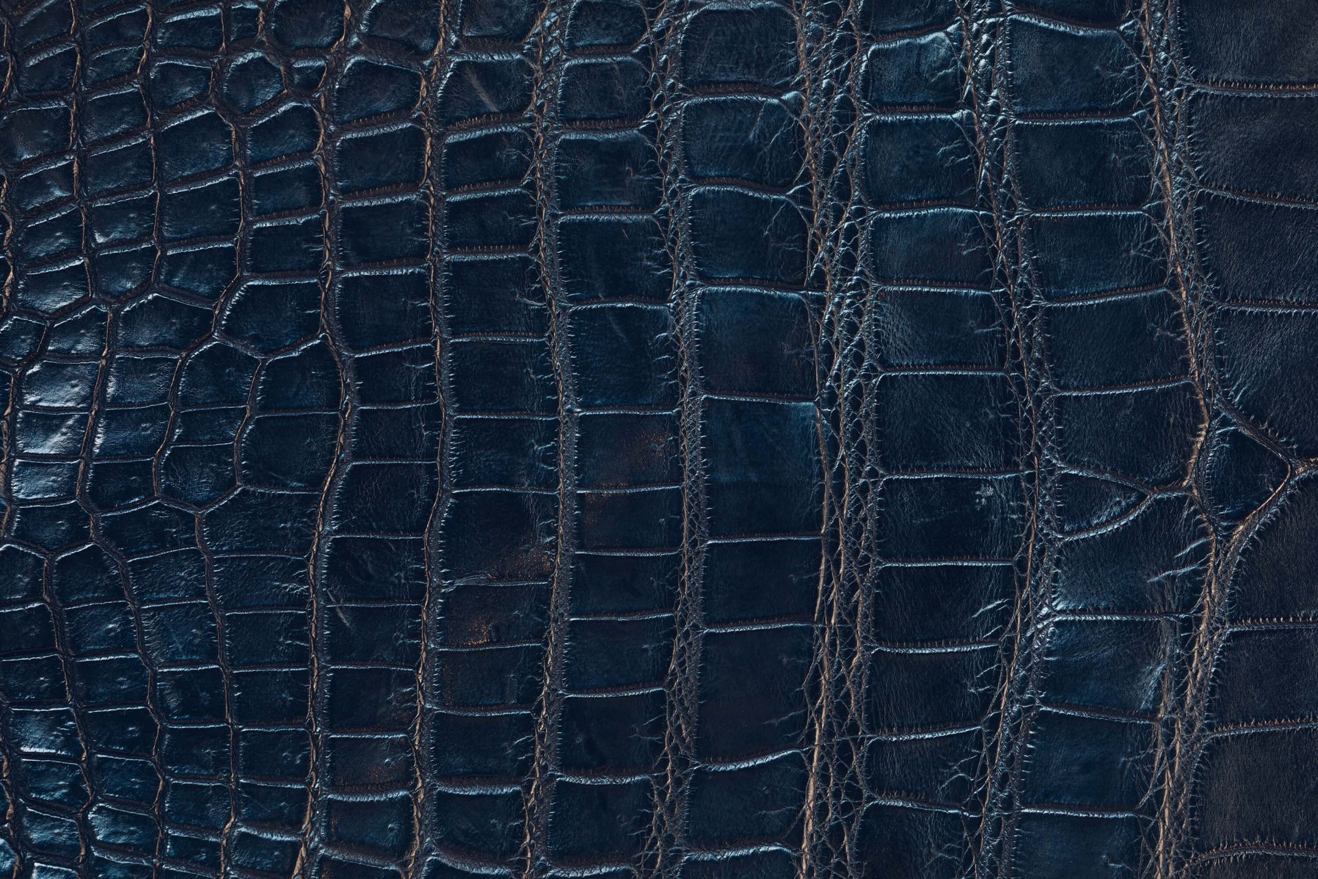 Błyszcząca skóra krokodyla