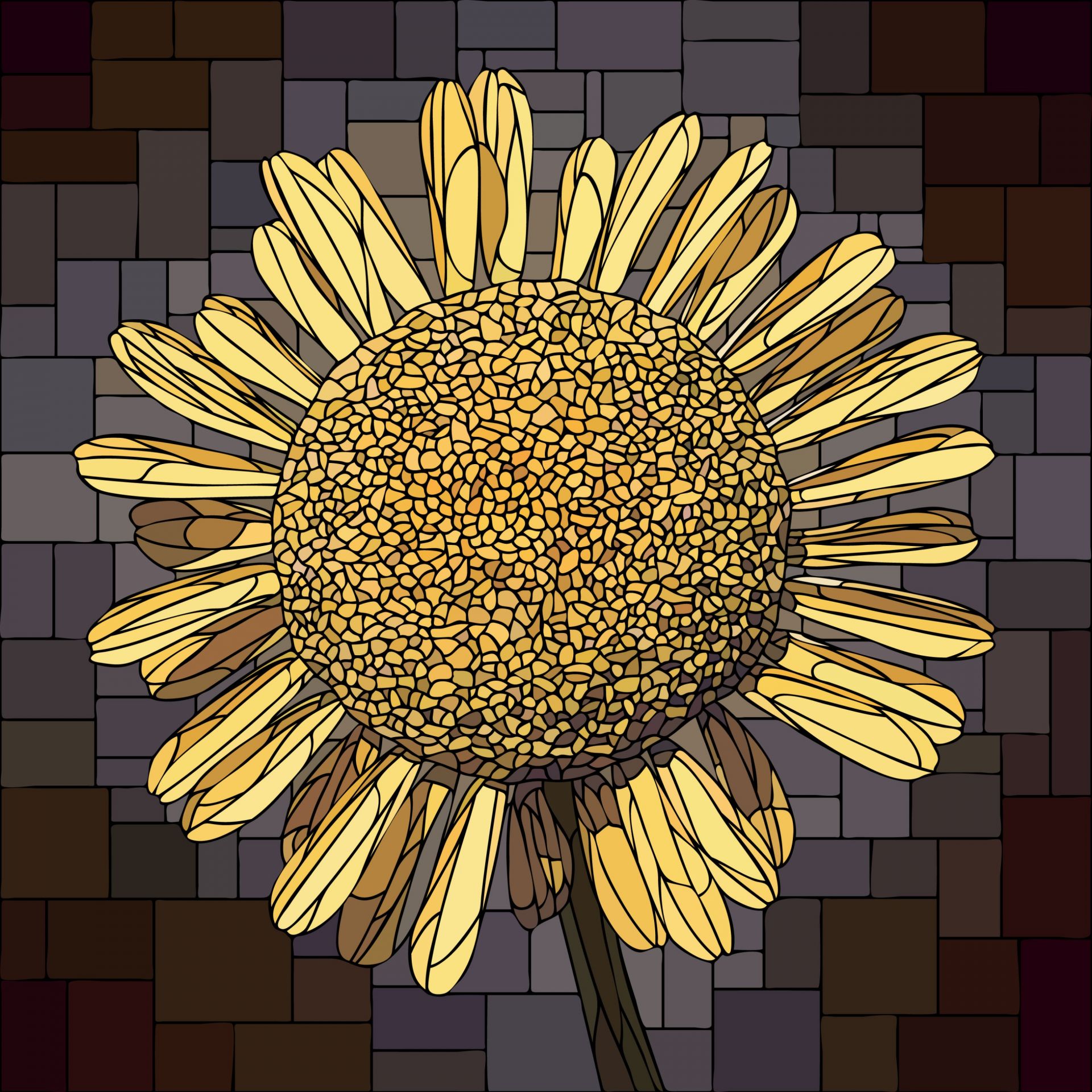 Żółty kwiat rumianku