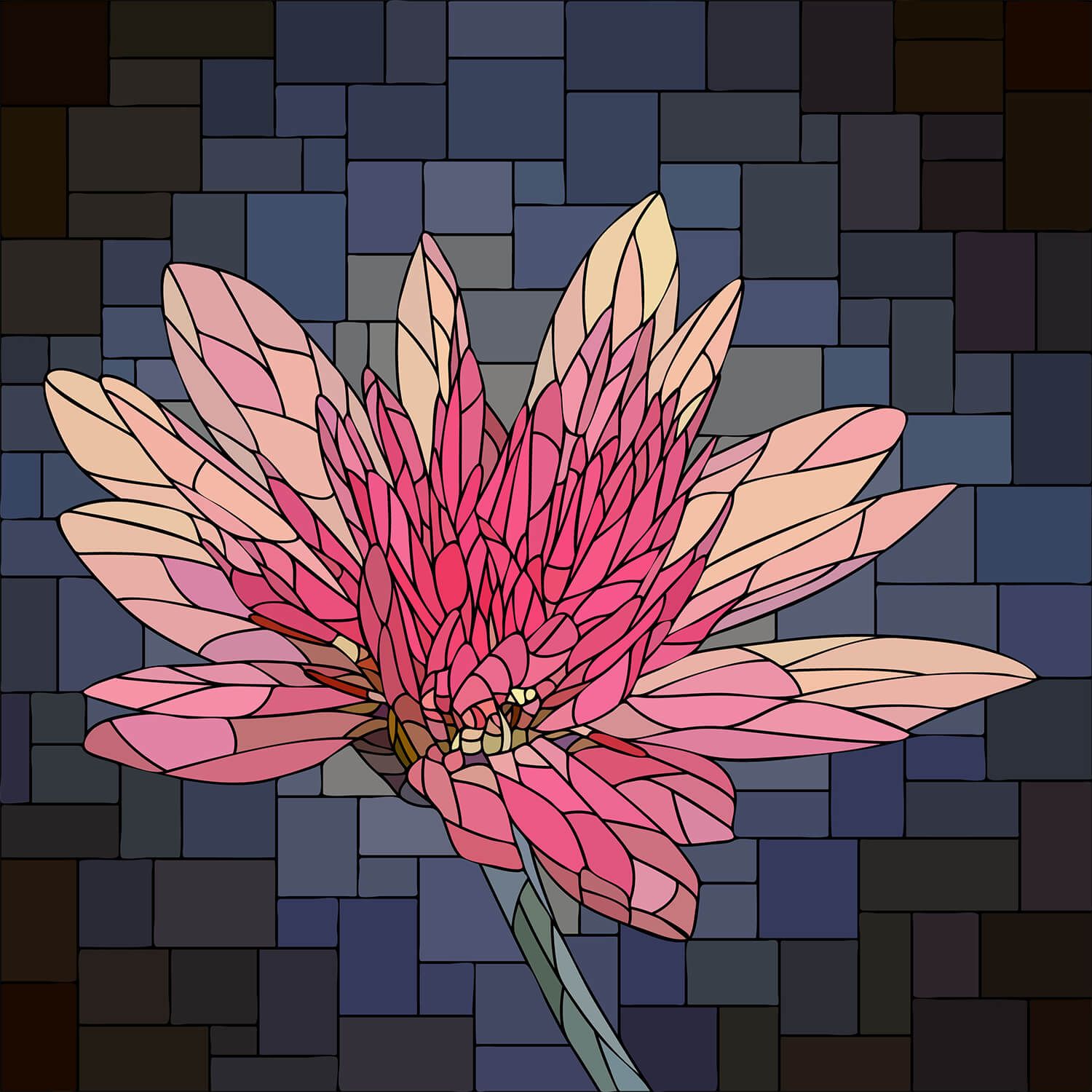 Różowy kwiat w rozkwicie