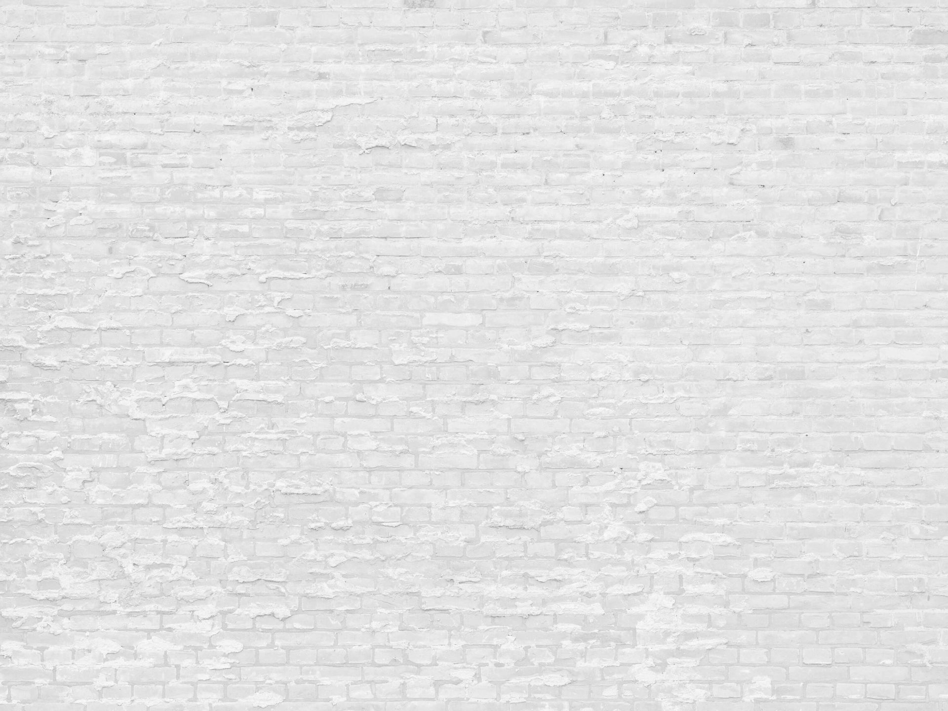 Cegły białe z cementem