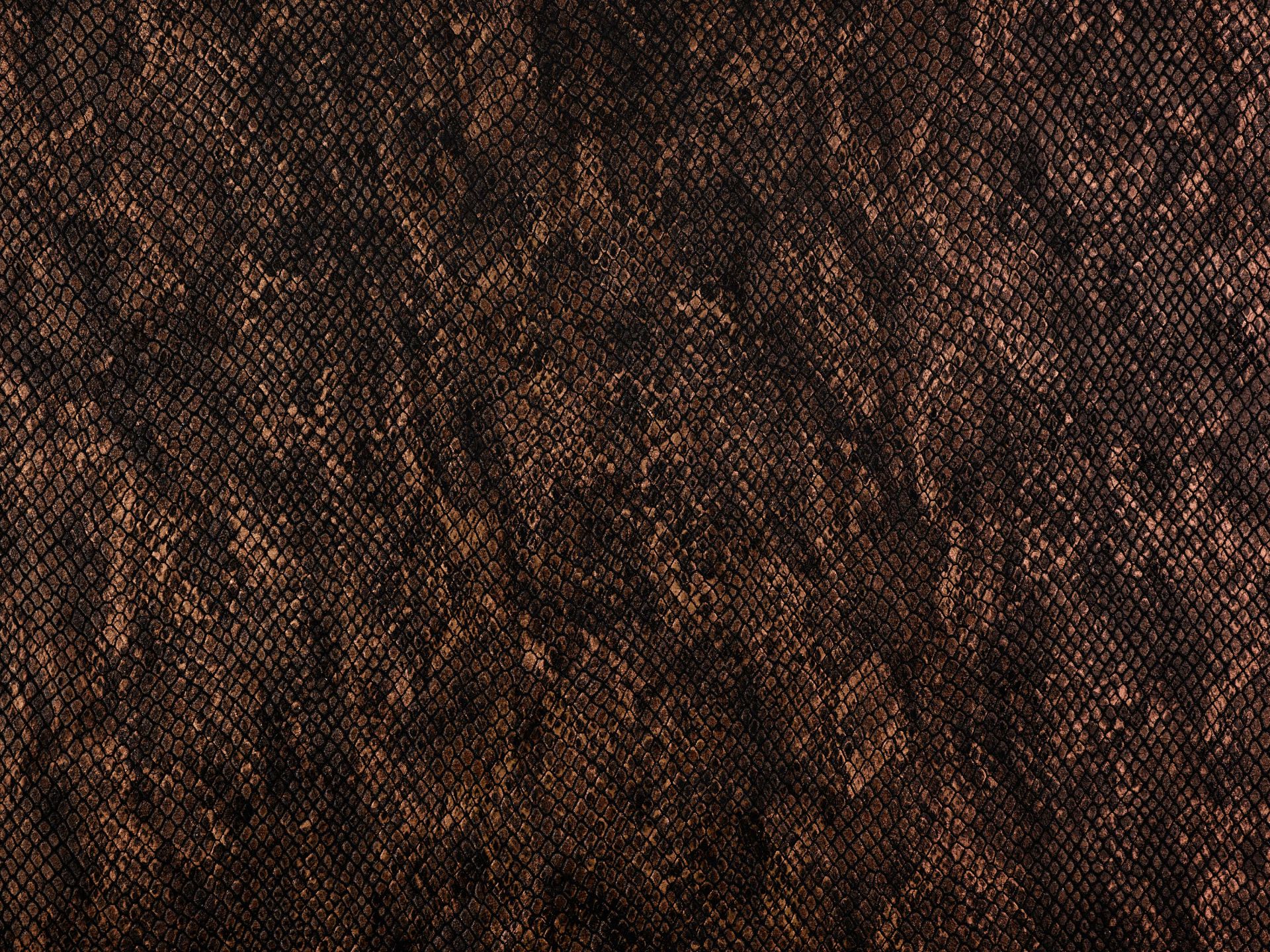 Skóra węża o barwie miedzianej