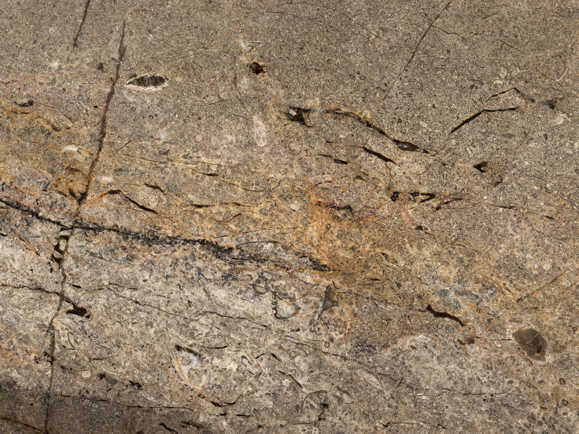 Marmur w kolorze piaskowym