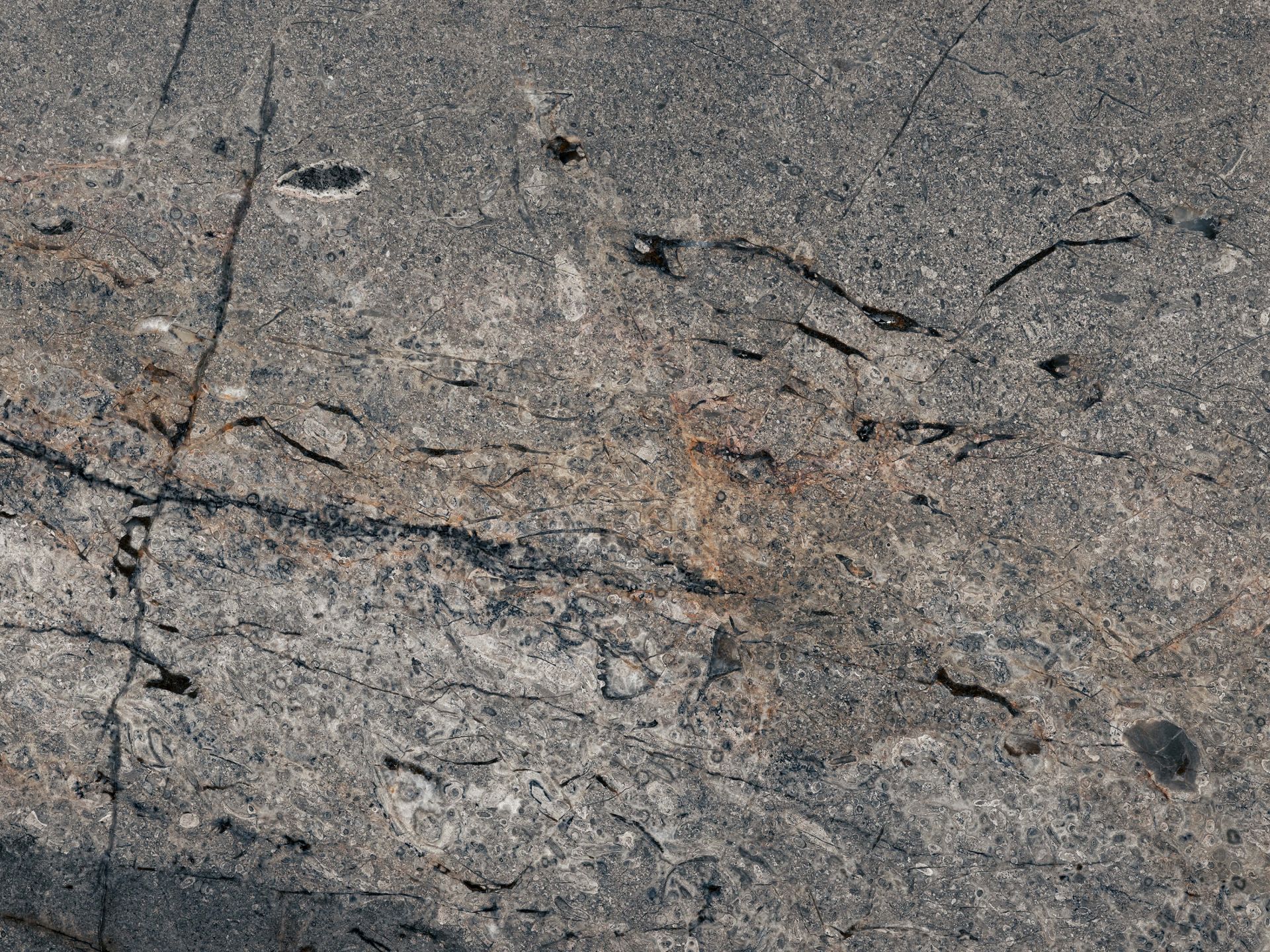 Struktura szarego marmuru