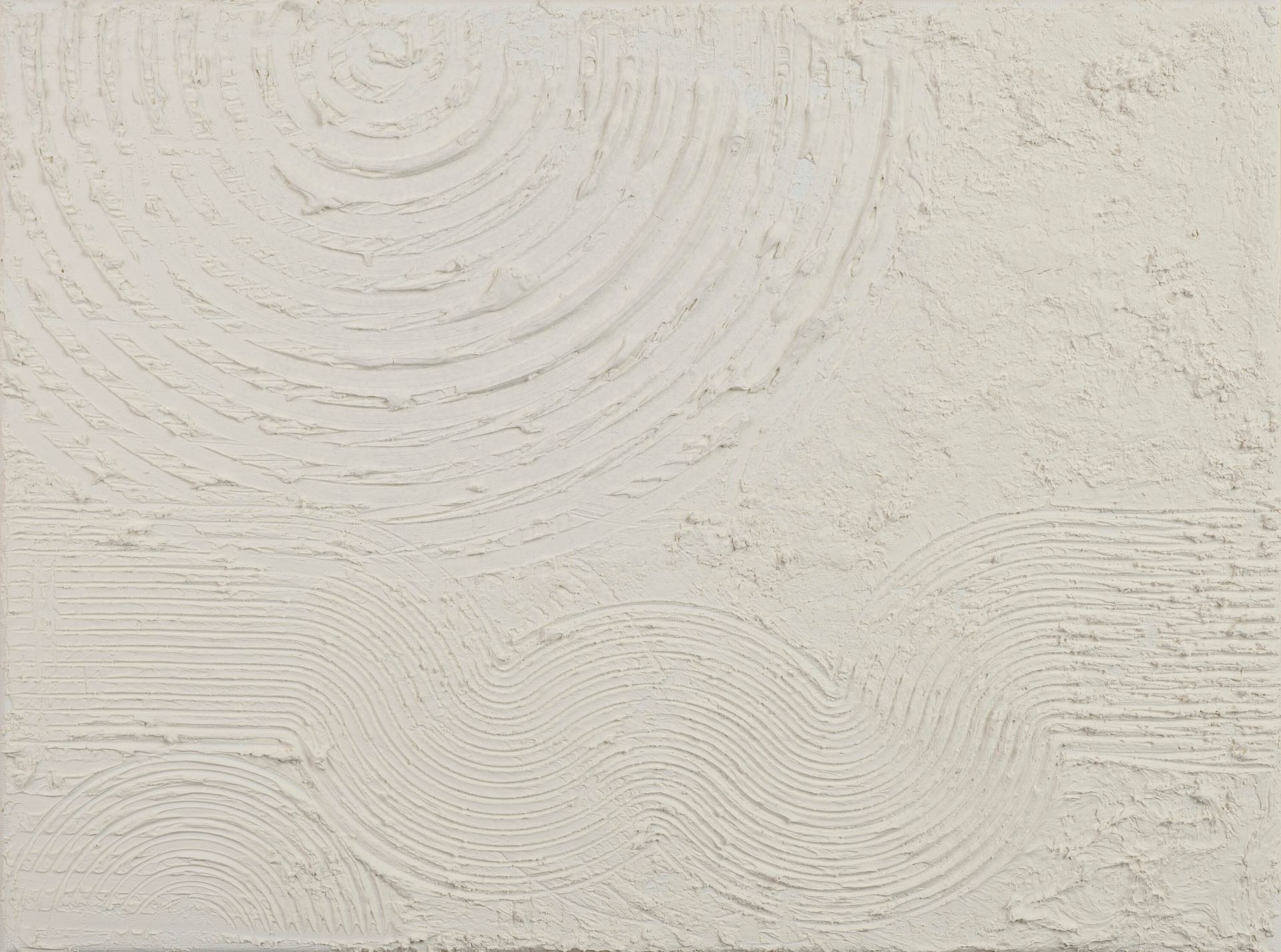 Organiczne kształty i linie w kolorze białym