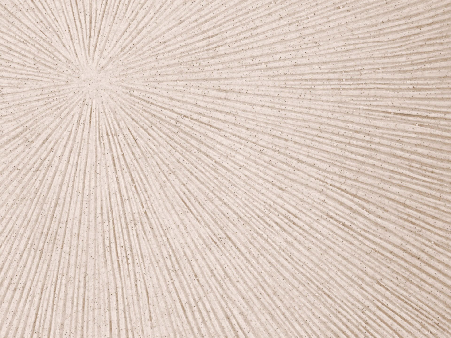 Struktura z liniami słońce len