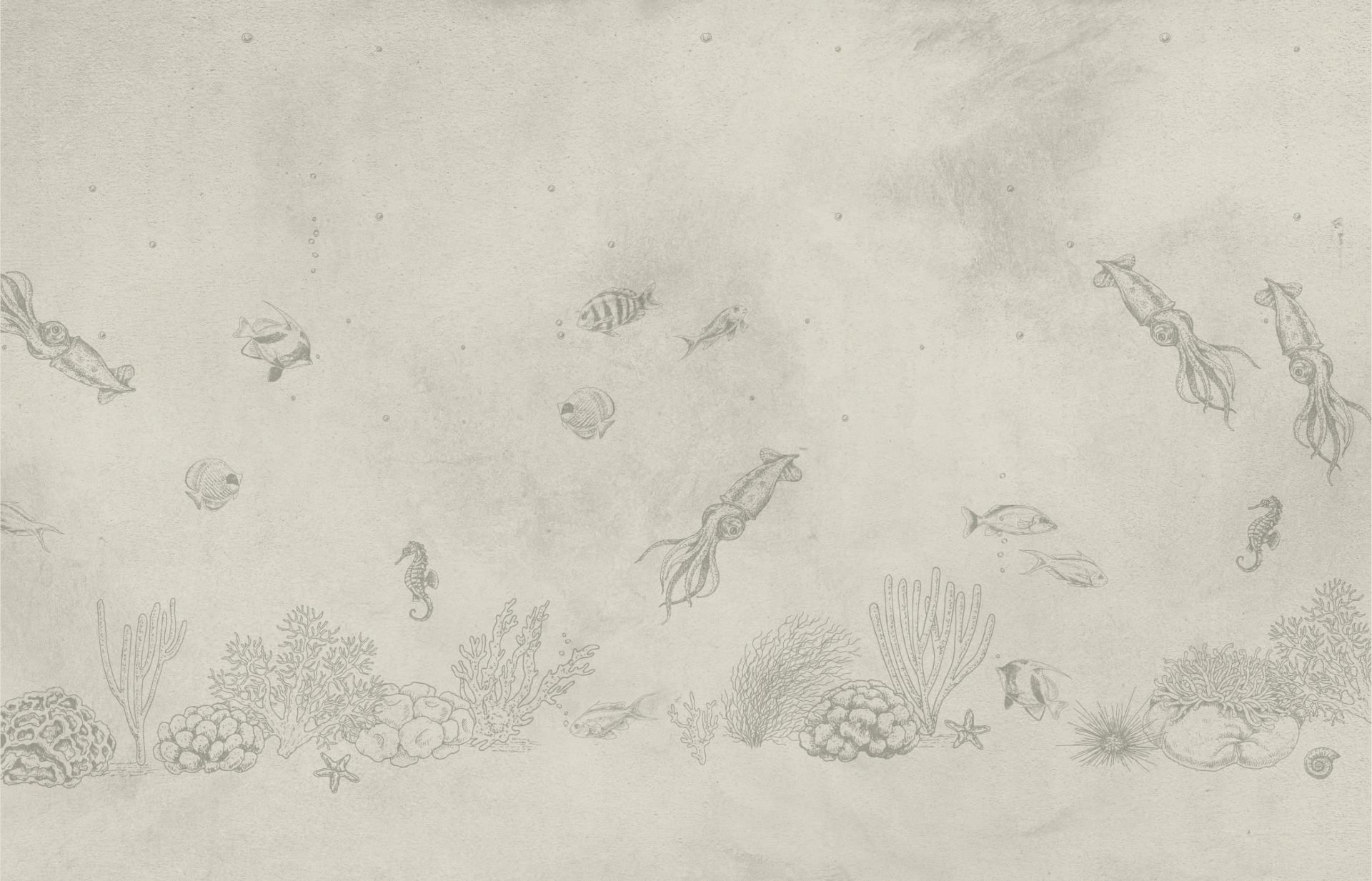 Kałamarnice morskie zielone